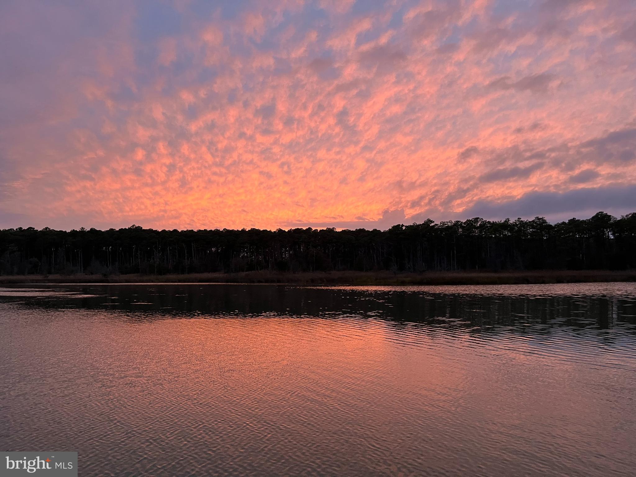 4004 Robinson Neck Road Taylors Island, MD 21669 - Photo 67 of 83 Stunning sunsets