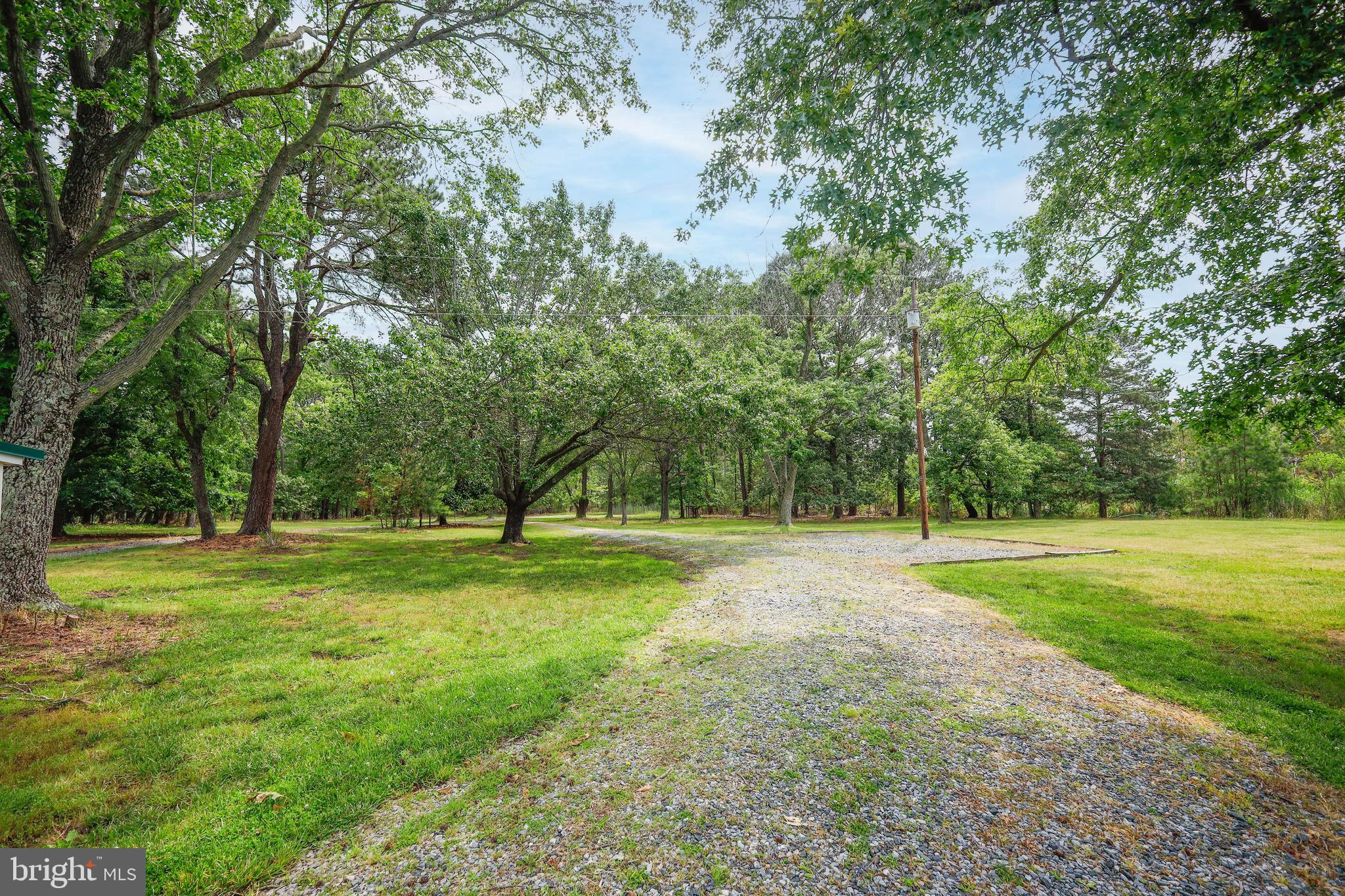 4004 Robinson Neck Road Taylors Island, MD 21669 - Photo 69 of 84 a view of a big yard with a tree