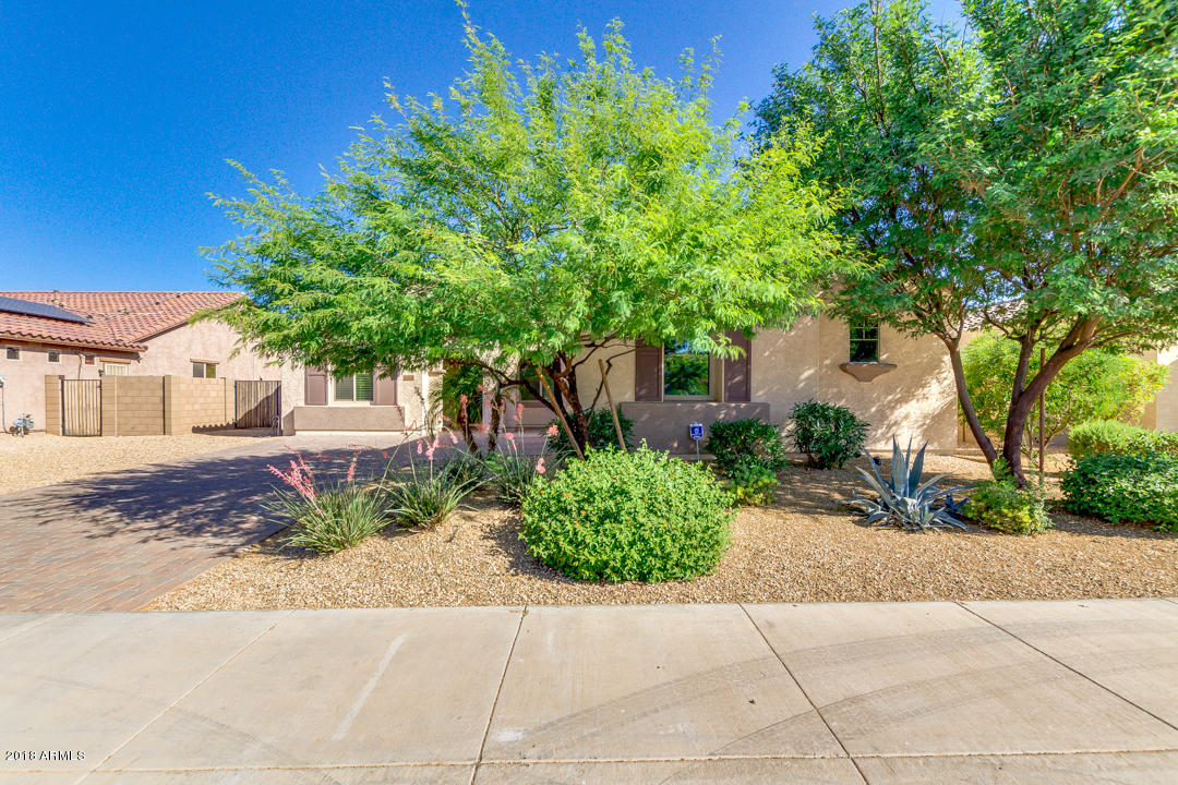 15619 West Roma Avenue Goodyear, AZ 85395 - Photo 2 of 21 02-Roma