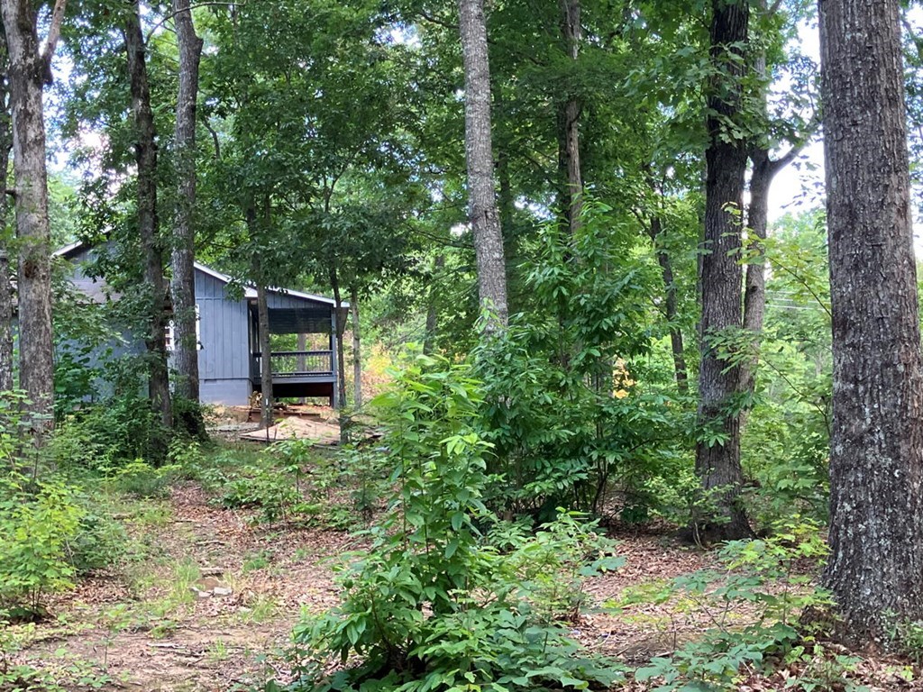 97 Concord Trail Murphy, NC 28906 - Photo 29 of 42