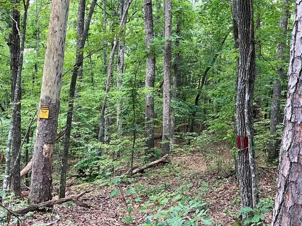 $297,950 | 97 Concord Trail, Murphy, NC 28906