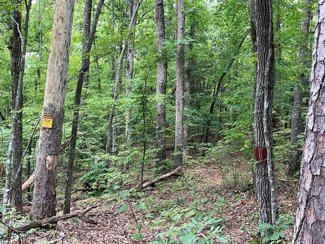 $299,950 | 97 Concord Trail, Murphy, NC 28906