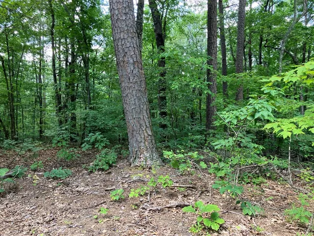 $299,950 | 97 Concord Trail, Murphy, NC 28906