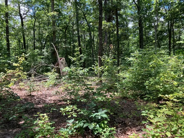 $299,950 | 97 Concord Trail, Murphy, NC 28906