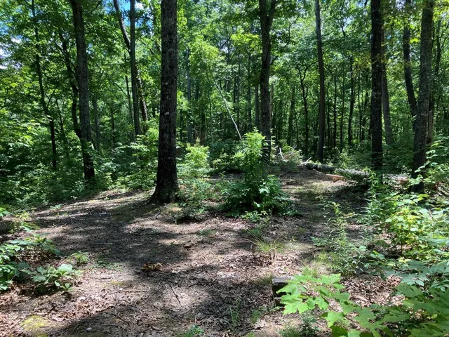 $299,950 | 97 Concord Trail, Murphy, NC 28906