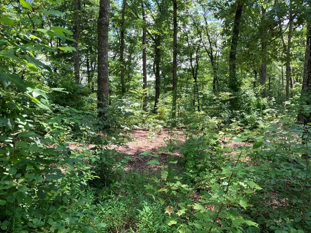 $299,950 | 97 Concord Trail, Murphy, NC 28906