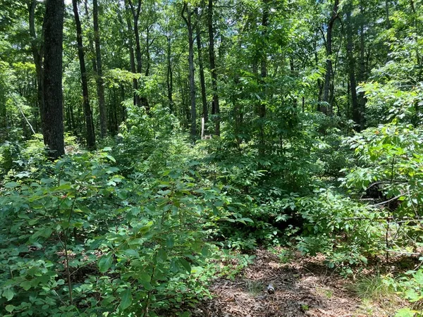 $297,950 | 97 Concord Trail, Murphy, NC 28906