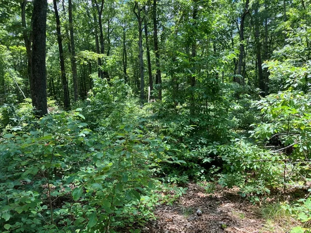 $299,950 | 97 Concord Trail, Murphy, NC 28906