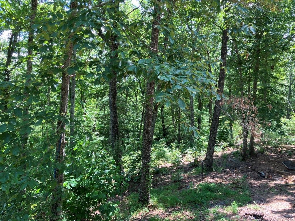 97 Concord Trail Murphy, NC 28906 - Photo 41 of 42