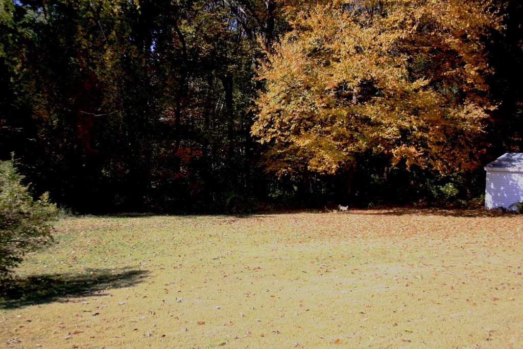 9 Claire Road Amesbury, MA 01913 - Photo 11 of 26 a view of snow yard