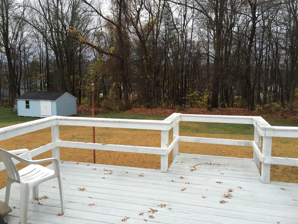 9 Claire Road Amesbury, MA 01913 - Photo 15 of 26 a view of swimming pool with trees