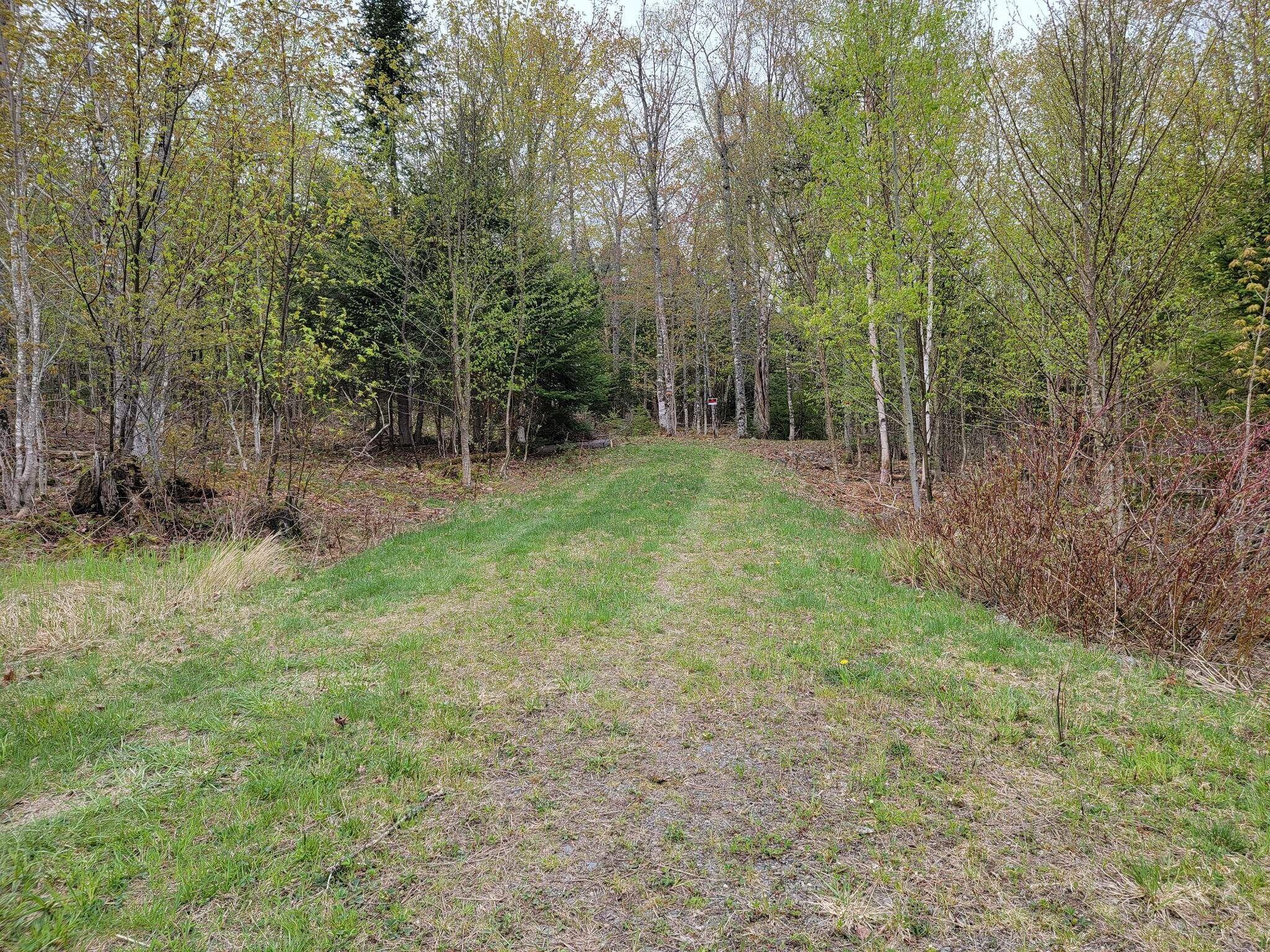 Lot 10 Moose Rdg Road Dallas Plt, ME 04970 - Photo 13 of 18 Shared Driveway