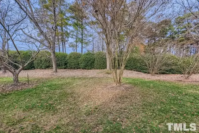 a view of a tree in a yard