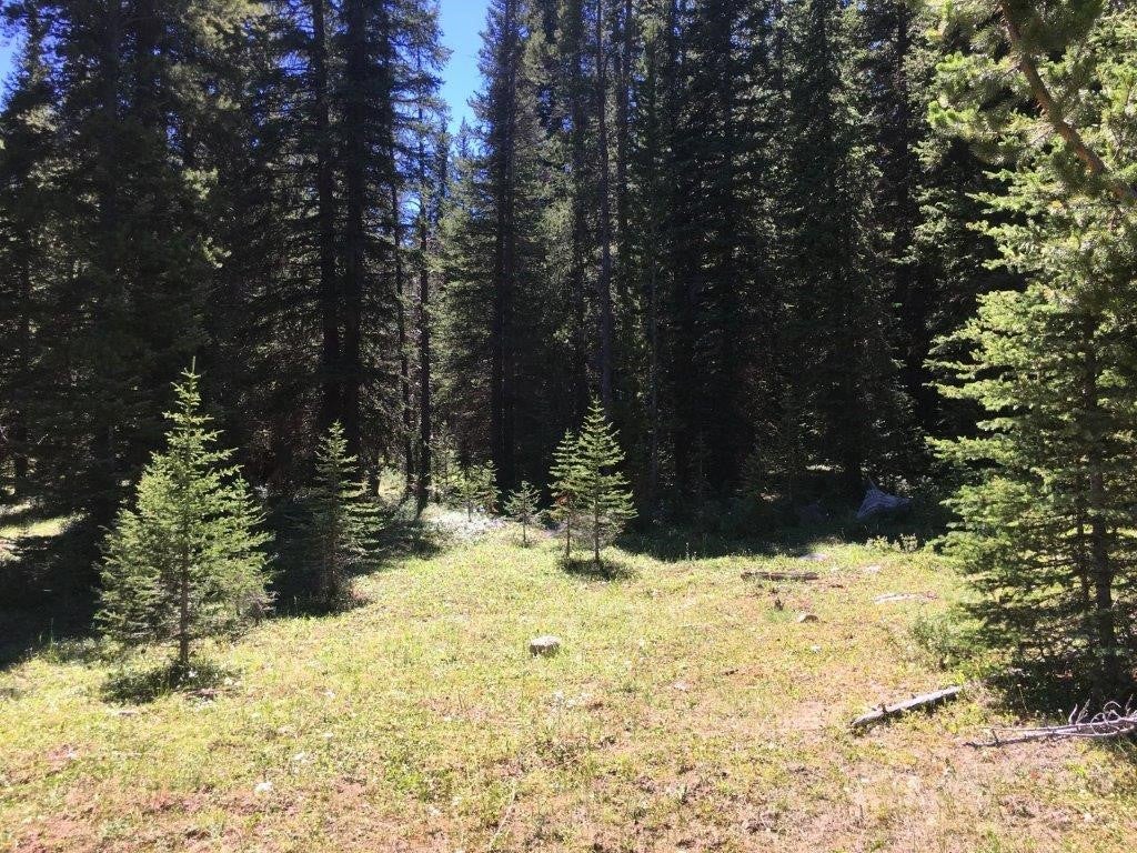 216 Trapper Creek Road Melrose, MT 59743 - Photo 21 of 29 Gallery Image 21