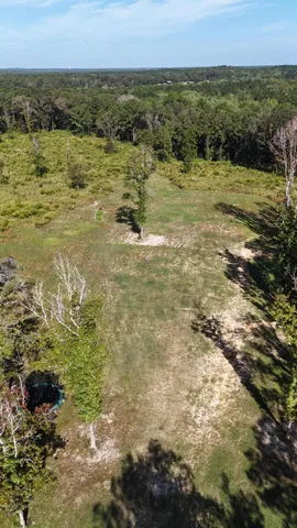 a view of a green field with lots of trees