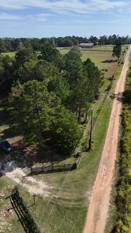 a view of a forest with a street