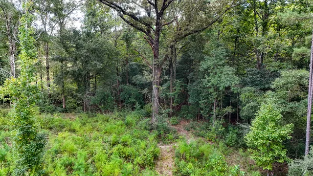 $699,000 | 444 Tall Oaks Road, DeFuniak Springs, FL 32435