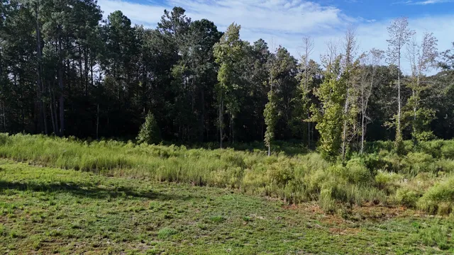 a view of a lake with beach and green space