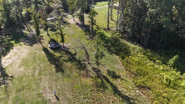 a view of a field with a tree