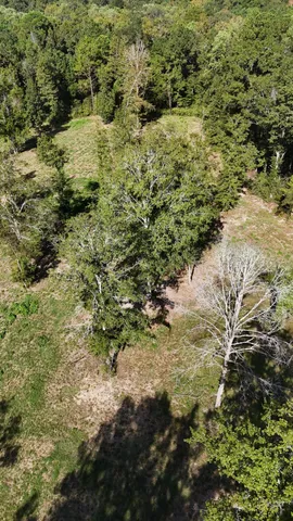 a view of a green field