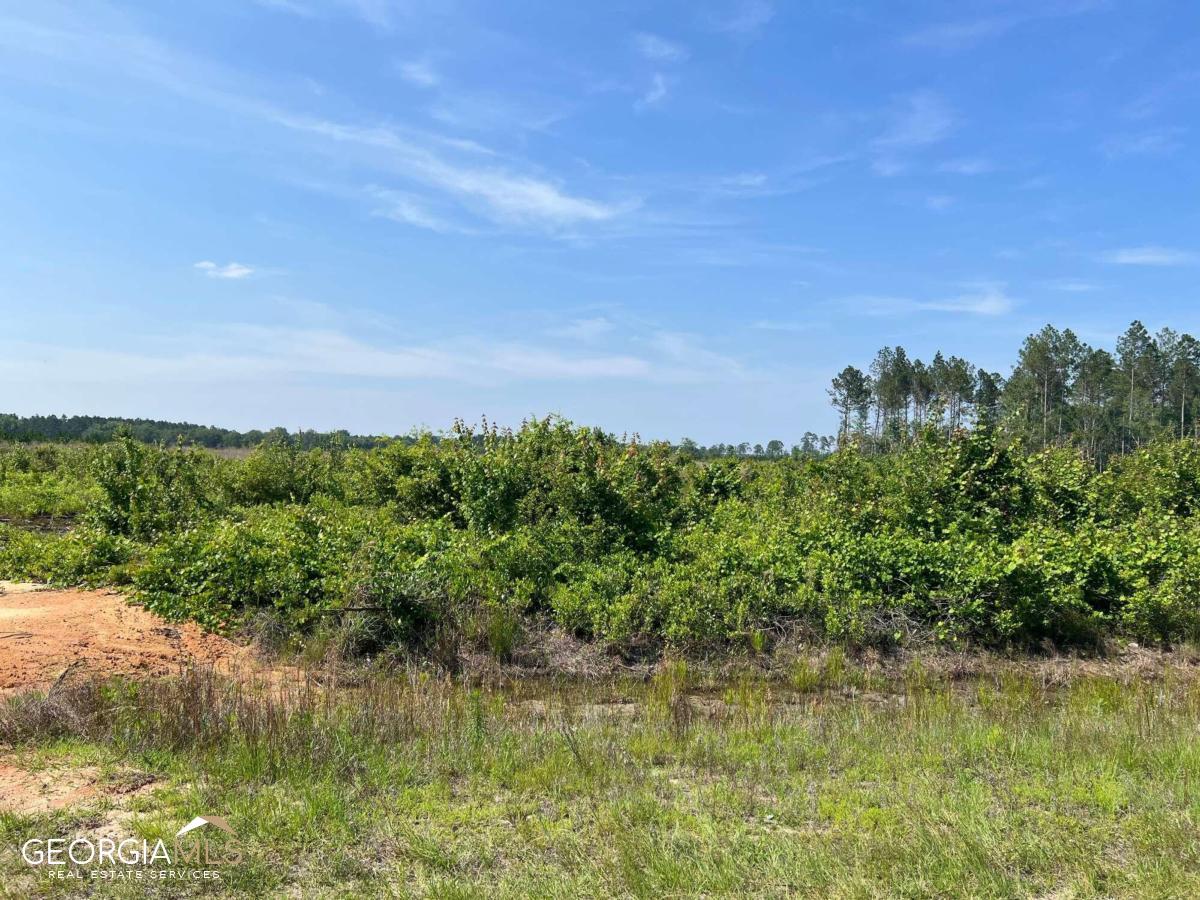 0 Holmesville Road Baxley, GA 31513 - Photo 1 of 1 a view of a lake from a yard