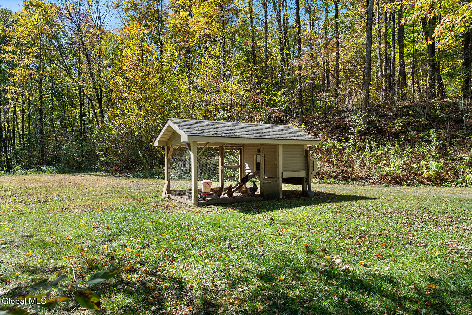 369 Saunders Road Argyle, NY 12809 - Photo 37 of 57 _DSC8499
