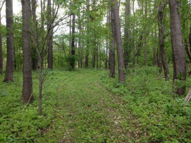 Buffalo Road Buchanan, MI 49107 - Photo 1 of 23 Trails