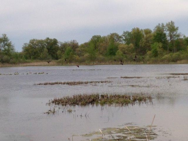 Buffalo Road Buchanan, MI 49107 - Photo 12 of 23 Lake view