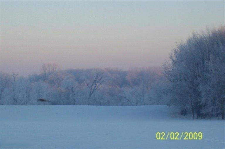 Buffalo Road Buchanan, MI 49107 - Photo 19 of 23 Winter Splendor