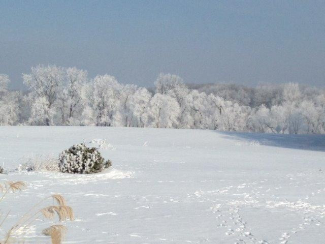 Buffalo Road Buchanan, MI 49107 - Photo 22 of 23 Winter scene