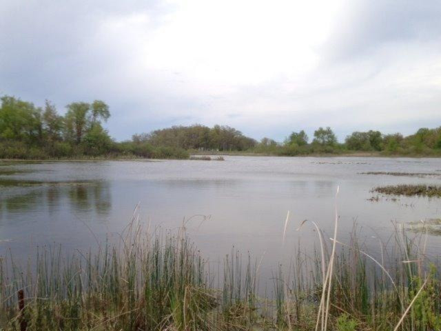 Buffalo Road Buchanan, MI 49107 - Photo 5 of 23 Lakefront