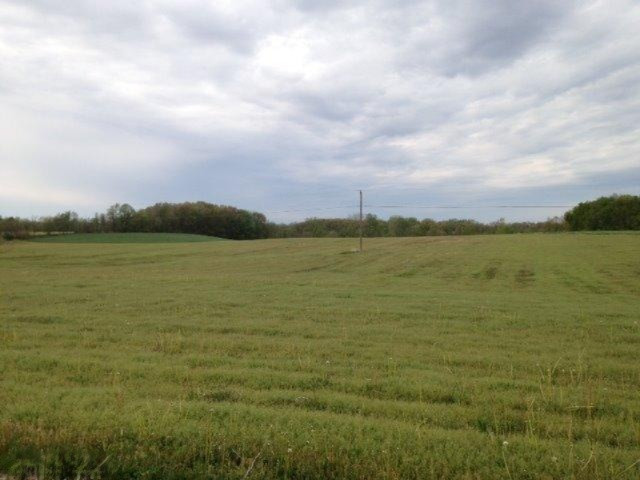 Buffalo Road Buchanan, MI 49107 - Photo 9 of 23 Tillable
