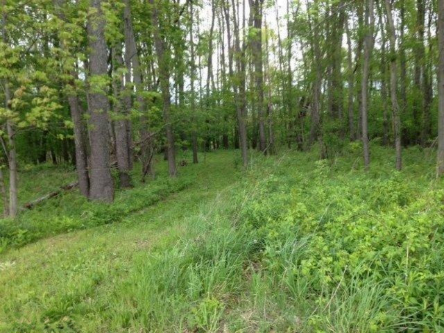 Buffalo Road Buchanan, MI 49107 - Photo 10 of 23 Trails