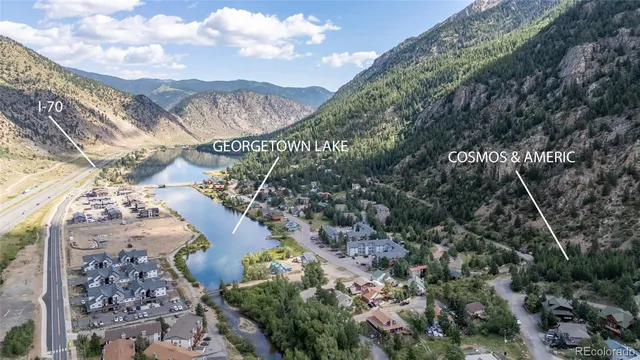 a view of a tree with a yard