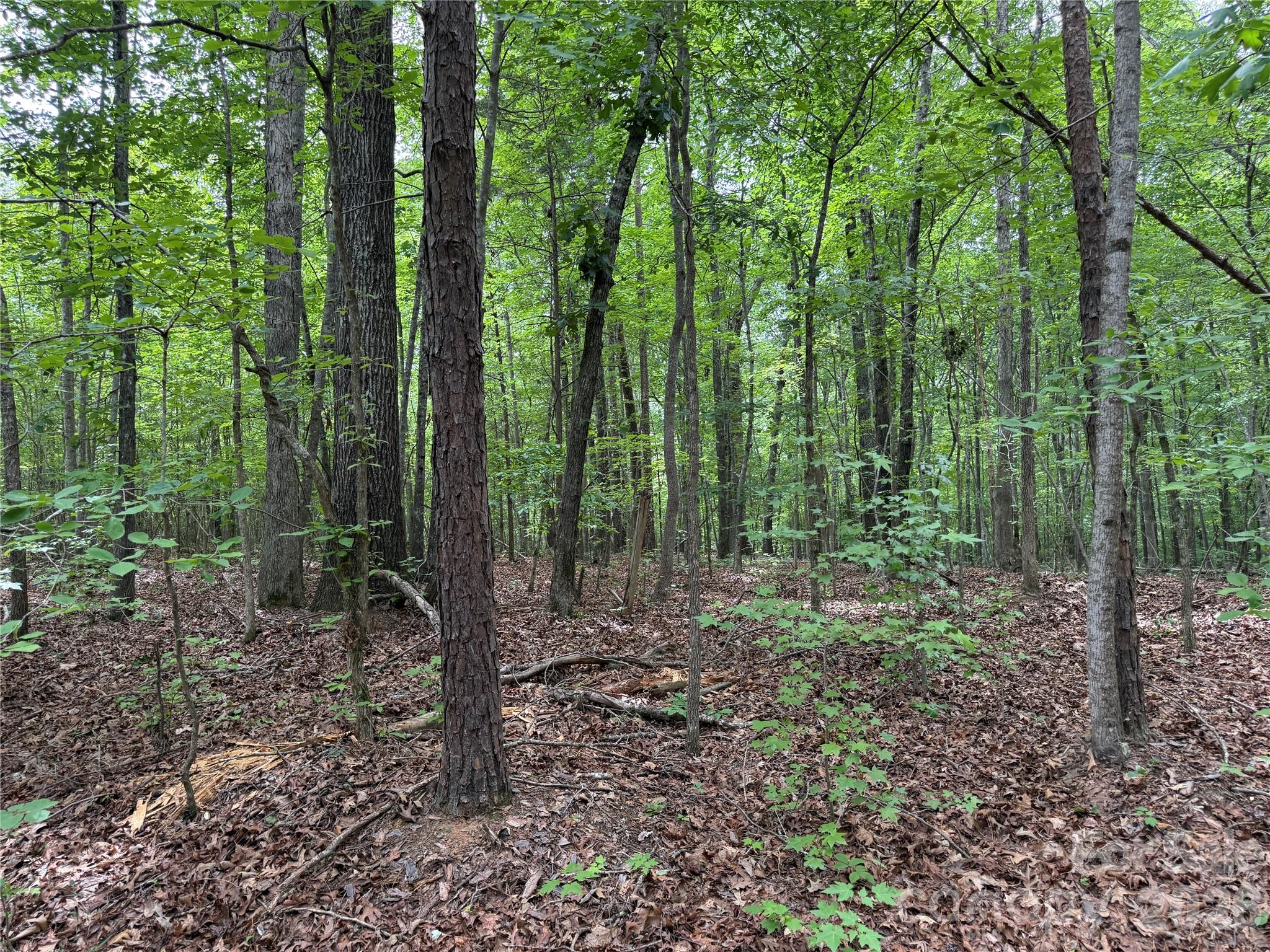 0 Herbert Faucette Road Bullock, NC 27507 - Photo 12 of 40