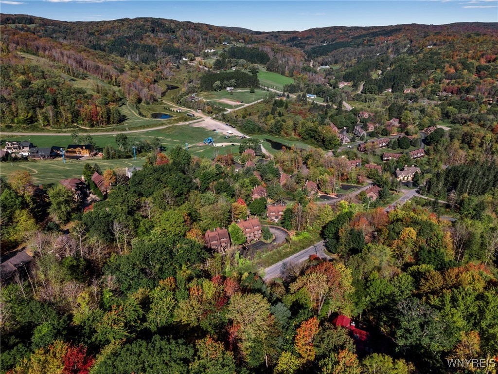 2 Four Wheel Drive Ellicottville, NY 14731 - Photo 49 of 50