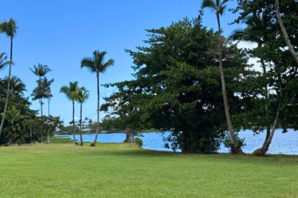 50 Maile Street, Unit A3 Hilo, HI 96720 - Photo 4 of 14 a garden view