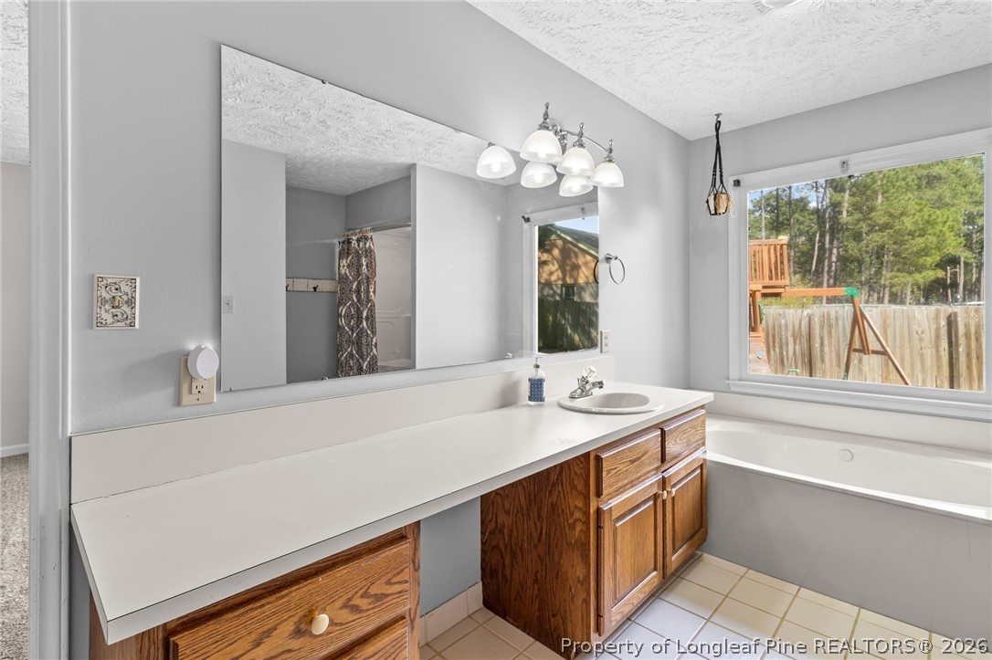 7756 Dragonhead Road Fayetteville, NC 28311 - Photo 19 of 42 a bathroom with a sink a large mirror and a bathtub next to a window