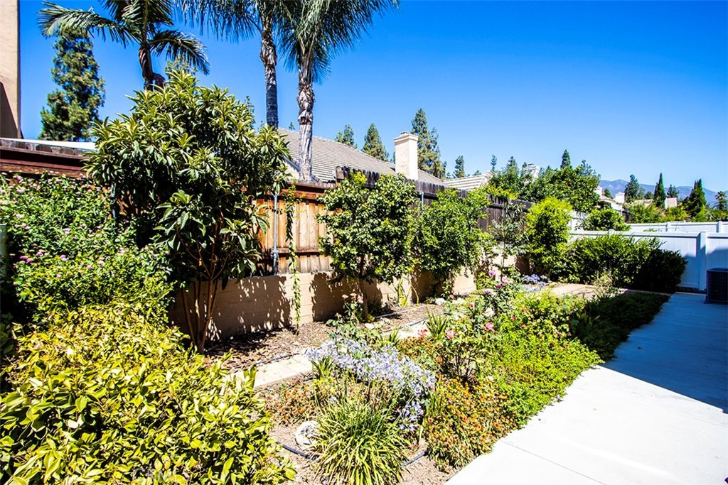 1509 Granada Road Upland, CA 91786 - Photo 23 of 31 a plant that is in front of flowers