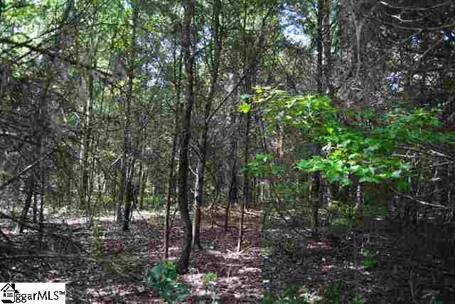 0 Lisbon Road, Unit LOT 20 Laurens, SC 29360 - Photo 22 of 25 Gallery Image 22