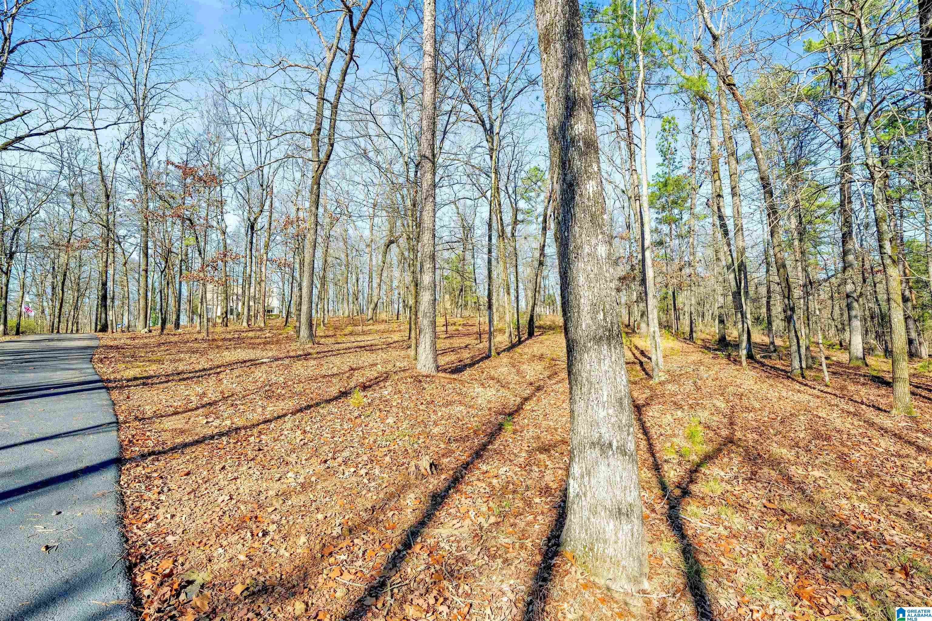 150 Chestnut Drive Alabaster, AL 35007 - Photo 3 of 61