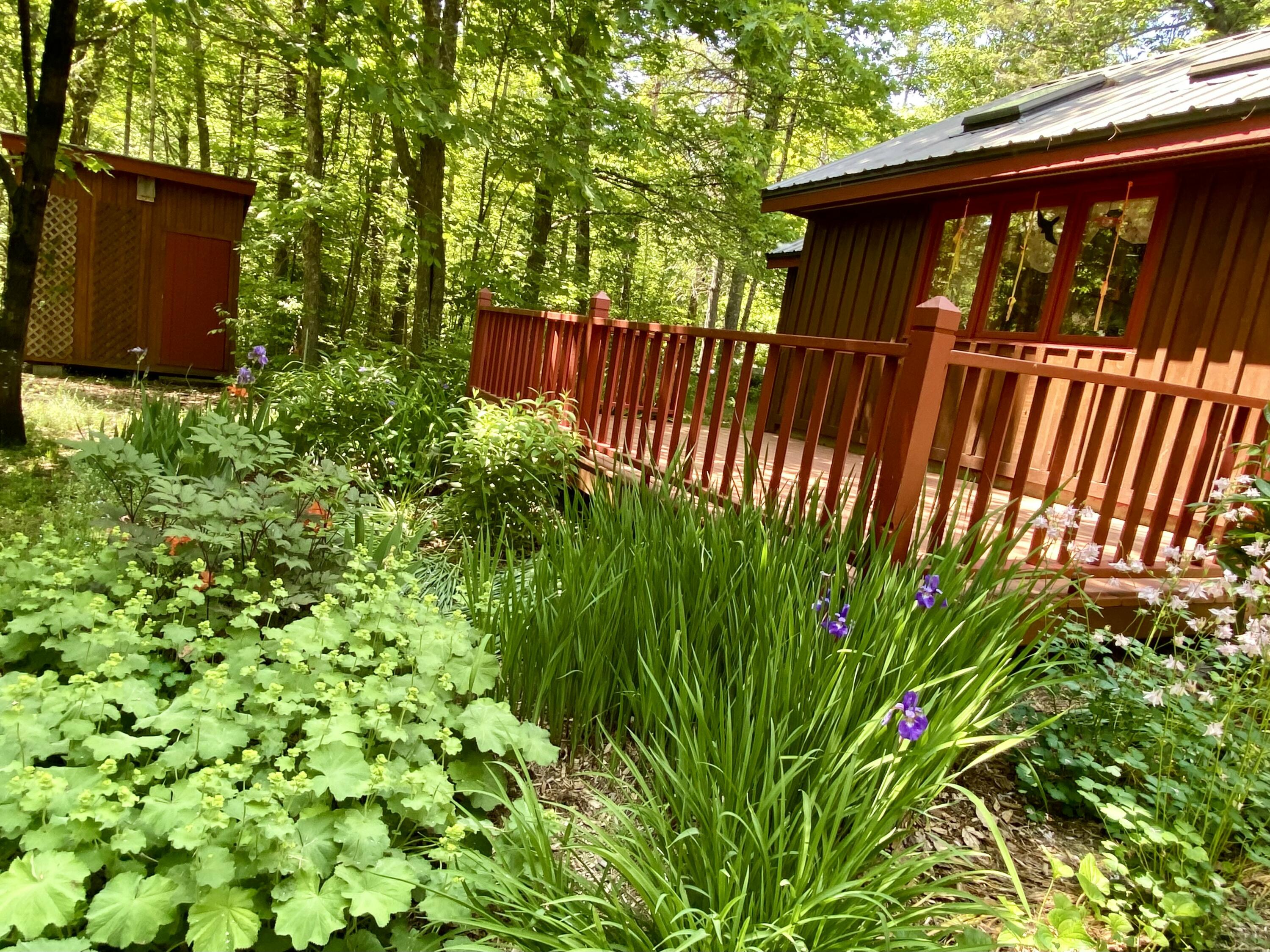 10 Ricker Hill Road Jackson, ME 04921 - Photo 3 of 13 IMG_7987