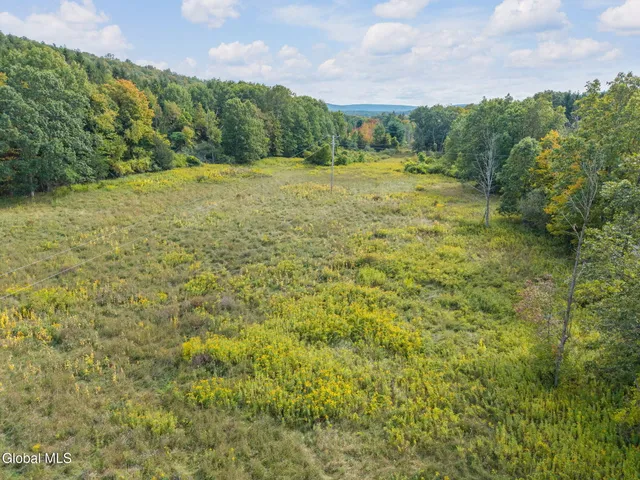 $995,000 | 432 Clipp Road, New Scotland, NY 12054