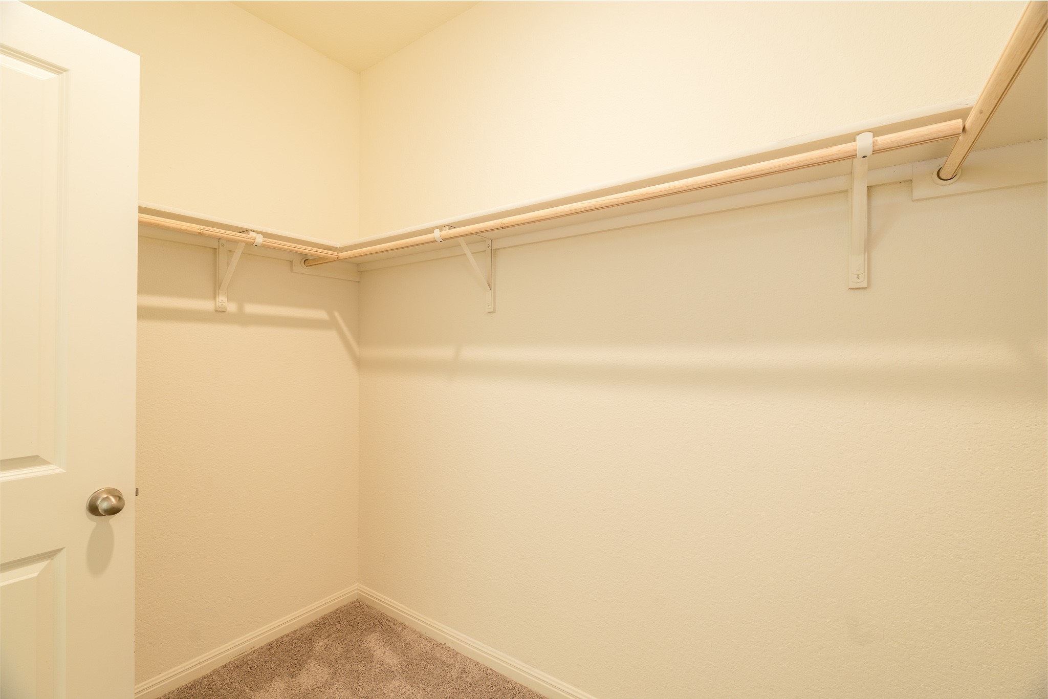 402 Gemsbok Road Hutto, TX 78634 - Photo 12 of 21 Gallery Image 12