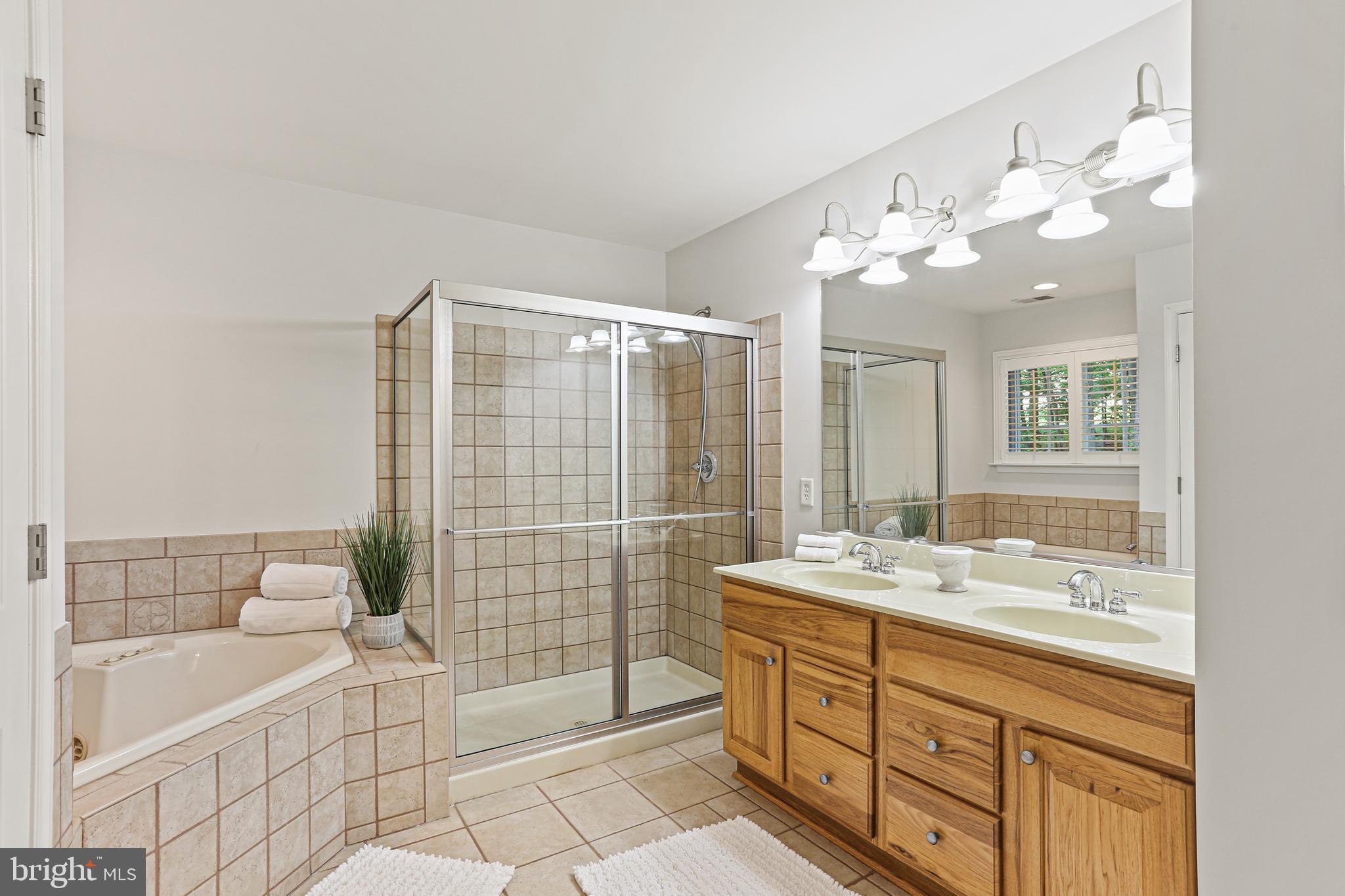 14439 Unionville Road Mount Airy, MD 21771 - Photo 23 of 57 Primary Bath with jetted soaking tub