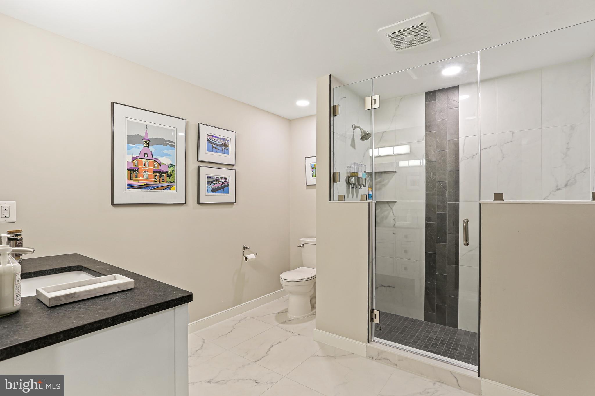 14439 Unionville Road Mount Airy, MD 21771 - Photo 5 of 57 Lower Level Full bath with heated flooring