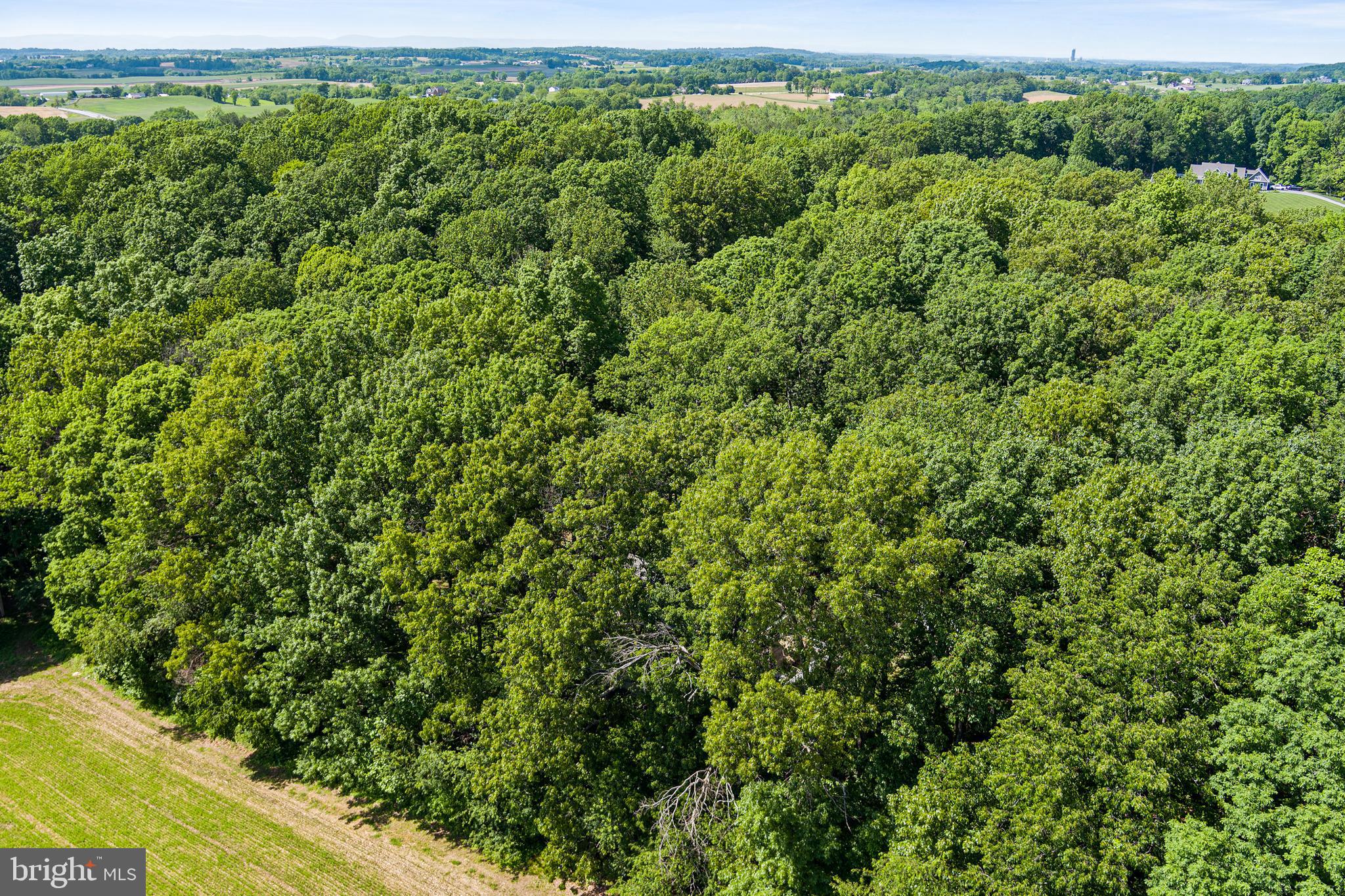 14439 Unionville Road Mount Airy, MD 21771 - Photo 56 of 57 Aerial View