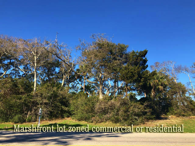 113 Jungle Road Edisto Island, SC 29438 - Photo 1 of 23 1