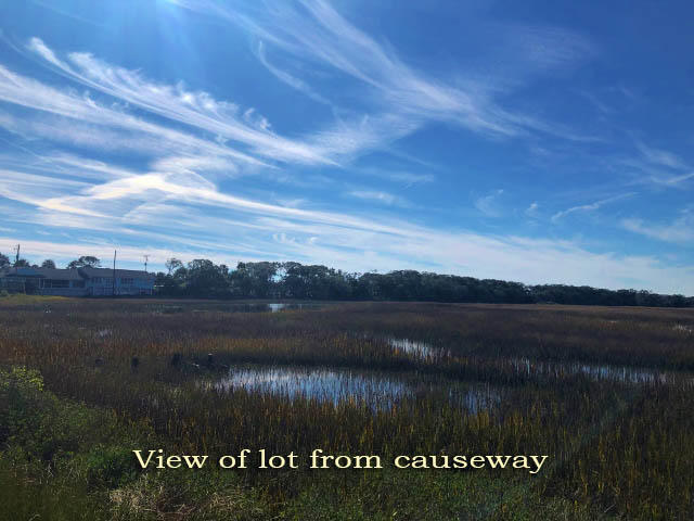 113 Jungle Road Edisto Island, SC 29438 - Photo 2 of 23 2