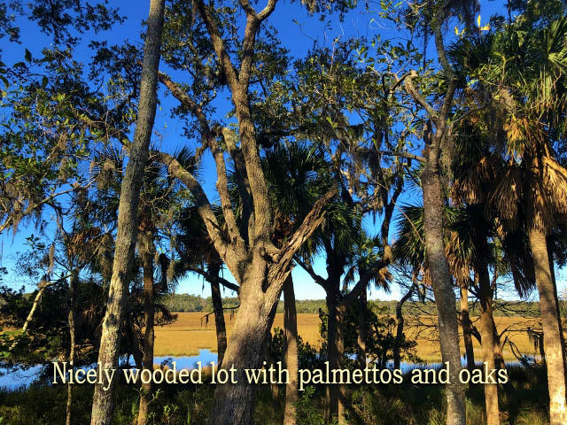 113 Jungle Road Edisto Island, SC 29438 - Photo 3 of 23 3